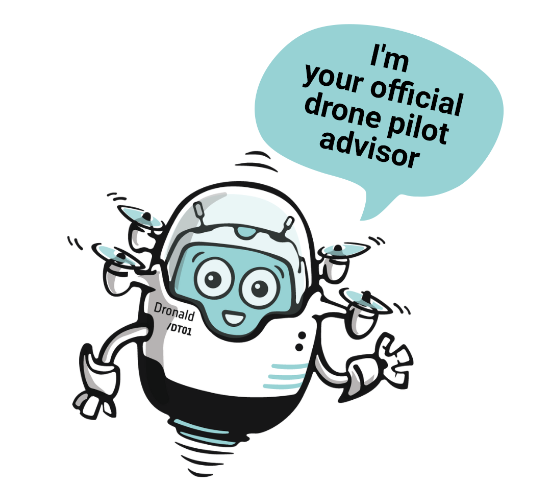 Illustrative picture Dronald